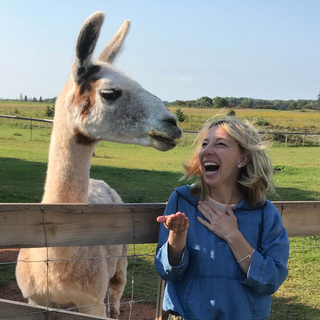 Tales of the Twist - Alpacas from Farm to Yarn