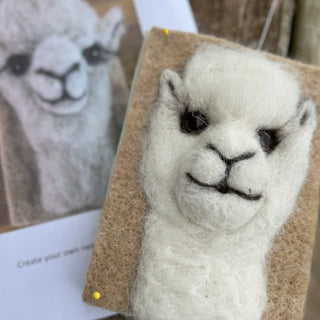 Friends & Fibre - I Felt an Alpaca - Green Gable Alpacas